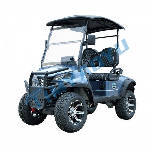 2 SEATER LIFTED ELECTRIC GOLF CAR WITH ALUMINUM CARGO BOX
