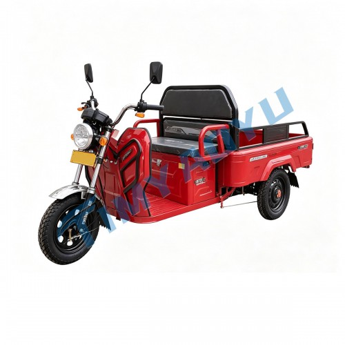 TAIZILEISURE MINI TRUCK ADT1200DZH
